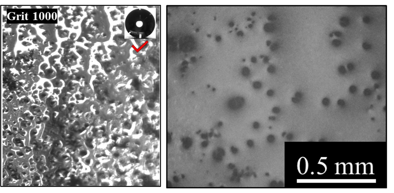 TIR and reflected light microscopy